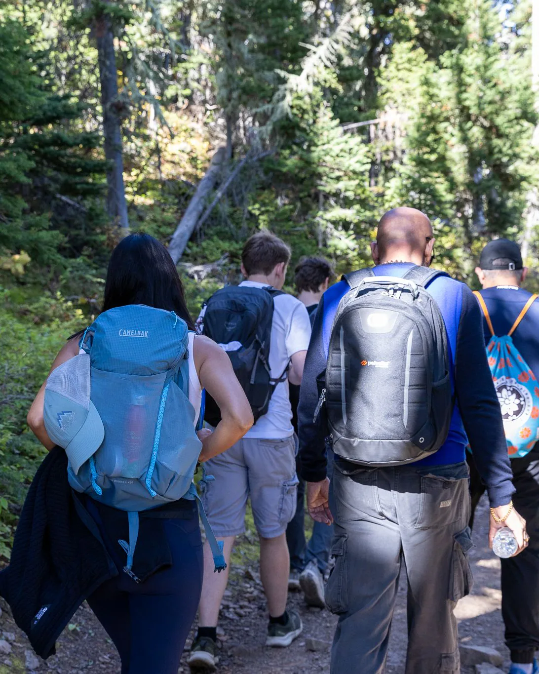 CIO Ascent members hiking a forested trail