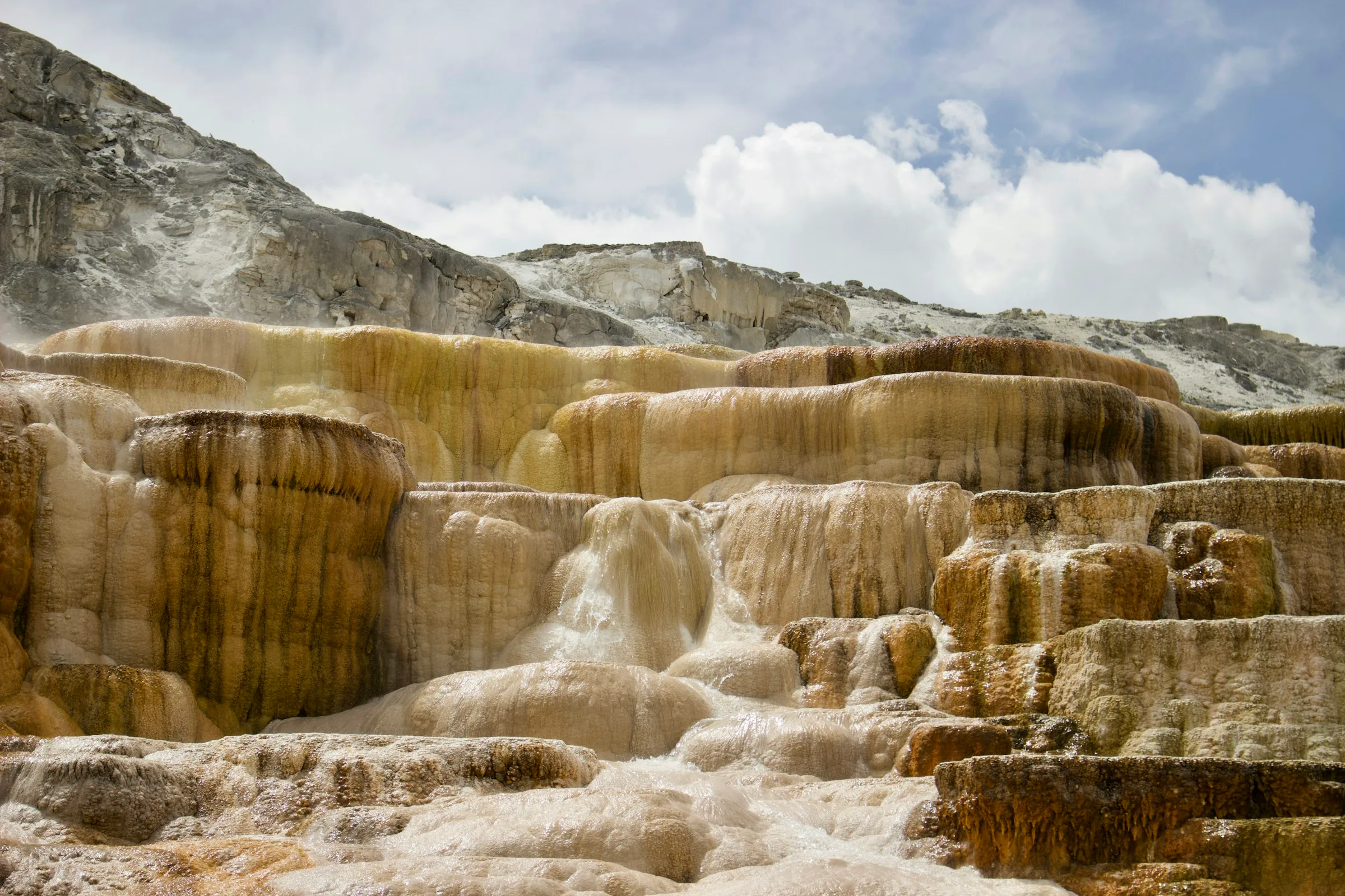 Travertine terraces at Mammoth Hot Springs, Yellowstone