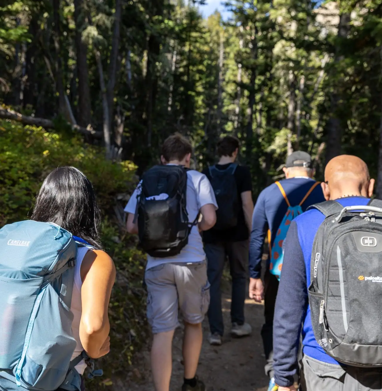 CIO Ascent members hiking through a forest