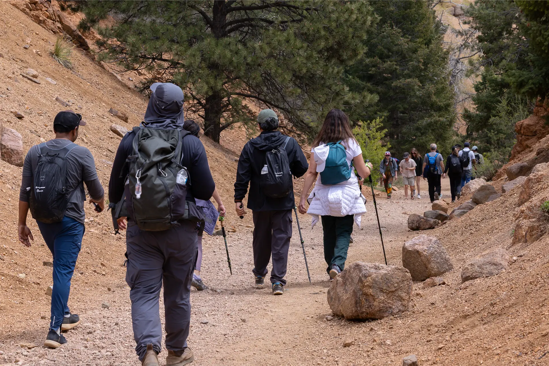 Executives walking together through a National Park