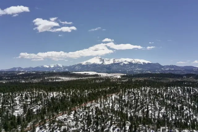 Snow-capped Pikes Peak rising above evergreen forest near Colorado Springs